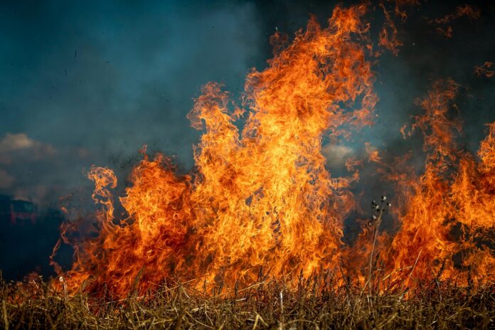 fuoco