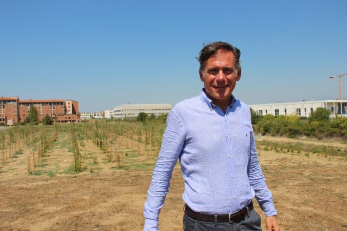 michele conti