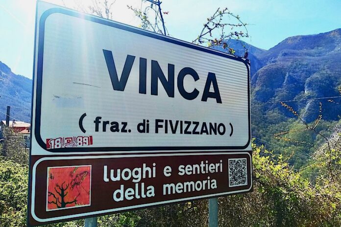 Vinca