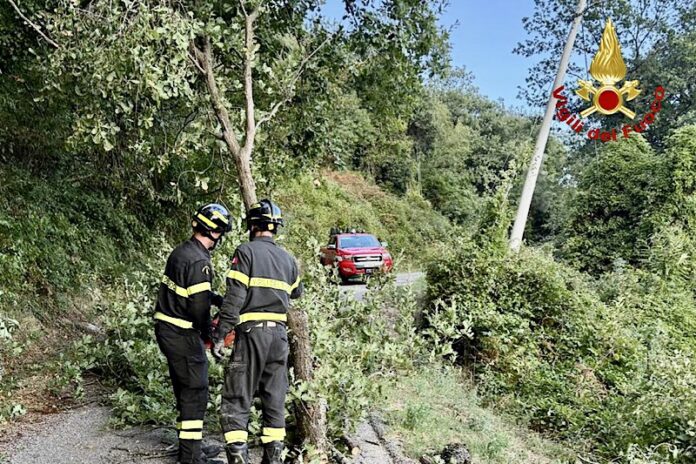 vigili del fuoco
