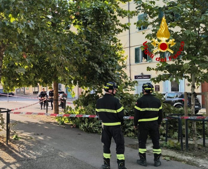 vigili del fuoco