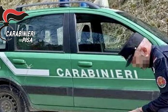 CARABINIERI FORESTALI