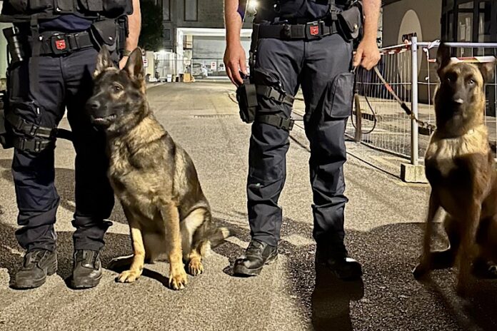 POLIZIA LOCALE UNIONE VALDERA