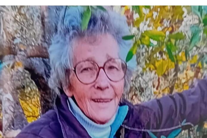 WhatsApp Image 2025-10-28 at 15.26.21