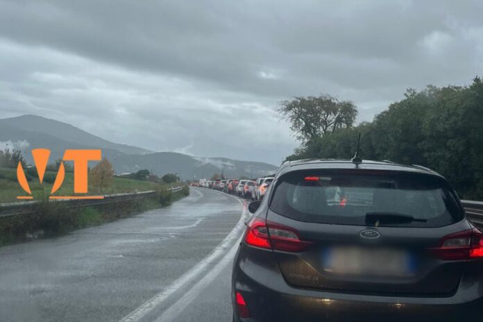 WhatsApp Image 2025-10-30 at 14.42.04