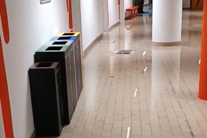 WhatsApp Image 2025-10-30 at 15.36.14 (1)