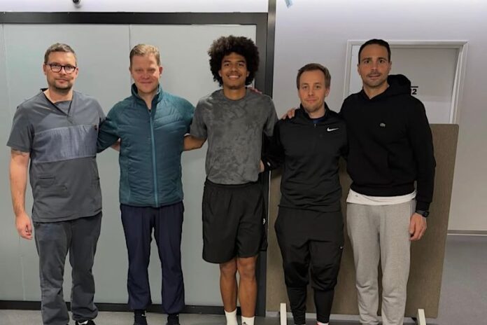 Pisa Stengs recupero