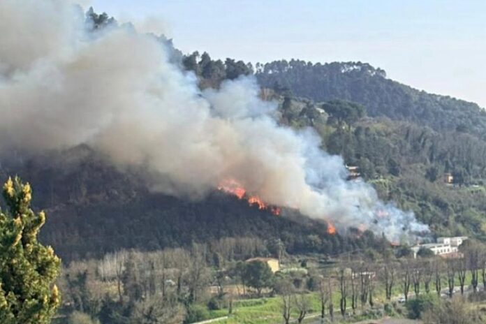 Incendio vigili fuoco