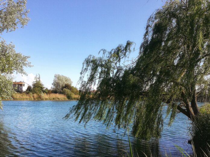 Lago del Cavo
