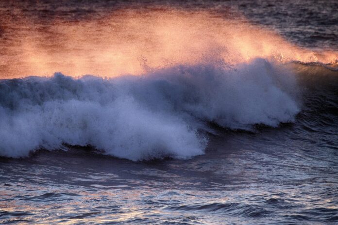 mare
