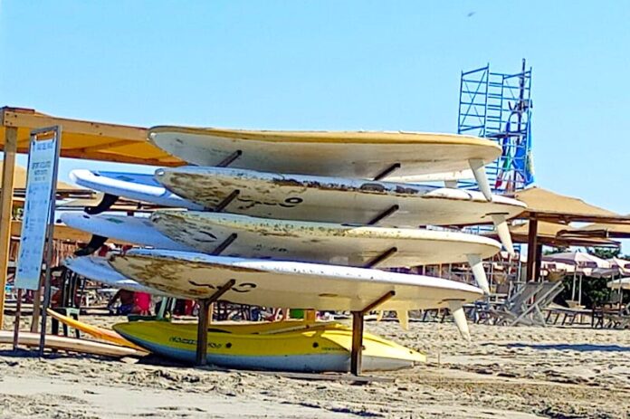 mare