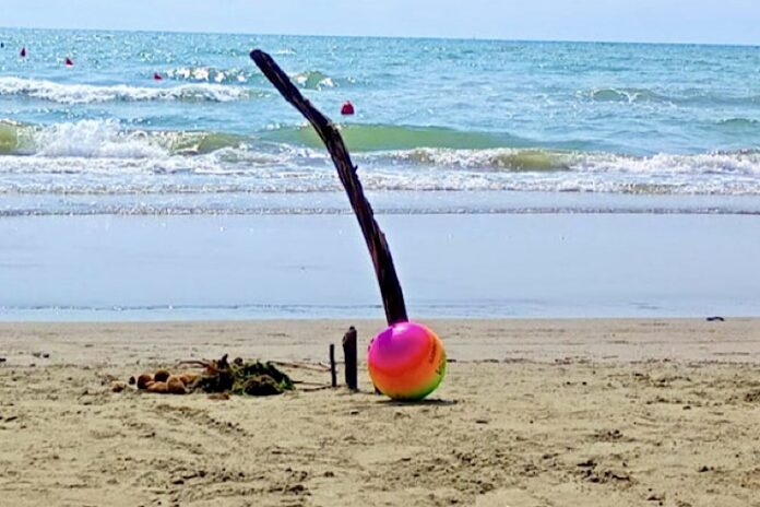 mare