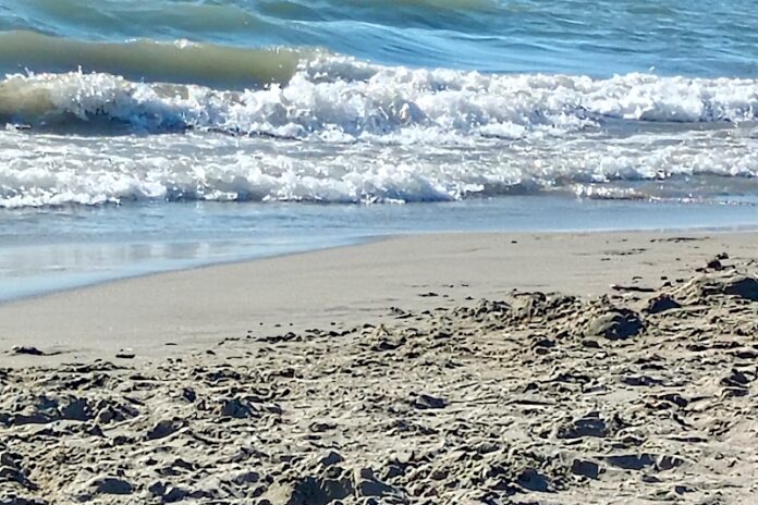 mare