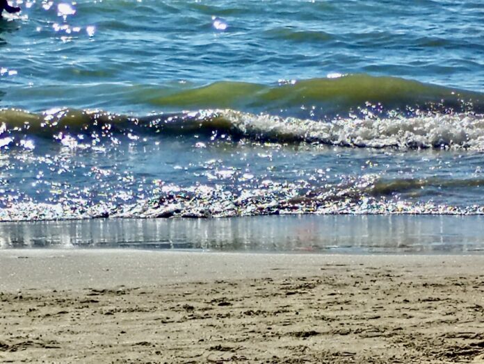 mare